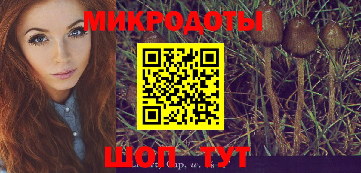 Галлюциногенные грибы GOLDEN TEACHER  Вход с VPN  Тайшет 